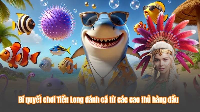 Bí quyết chơi Tiền Long đánh cá từ các cao thủ hàng đầu