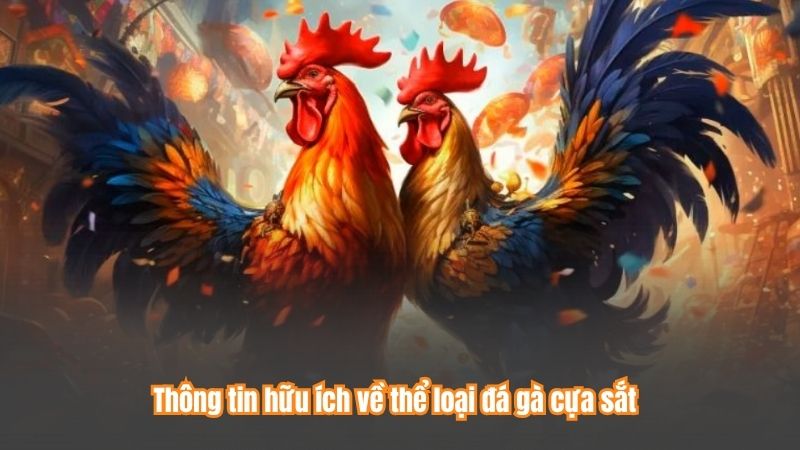 Thông tin hữu ích về thể loại đá gà cựa sắt